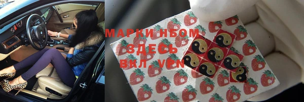индика Баксан