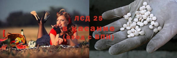 индика Баксан