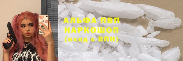 индика Баксан