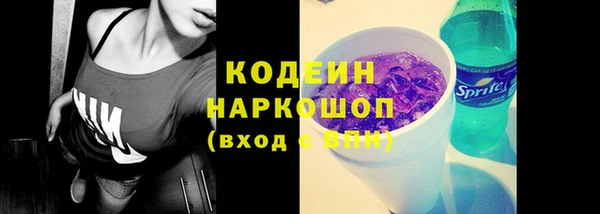 индика Баксан