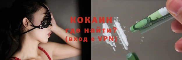 крисы Балахна