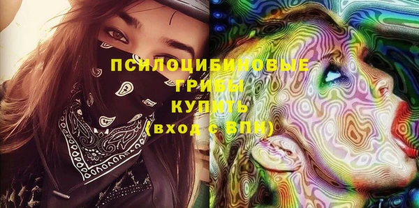 ПСИЛОЦИБИНОВЫЕ ГРИБЫ Балабаново