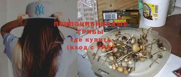 крисы Балахна