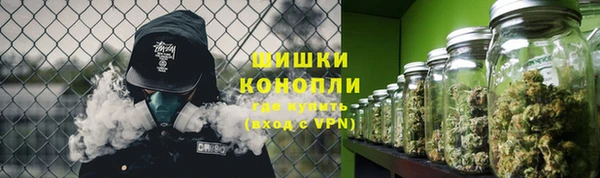 ПСИЛОЦИБИНОВЫЕ ГРИБЫ Балабаново