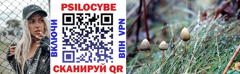 МЕГА сайт  Вятские Поляны  Галлюциногенные грибы Psilocybe 