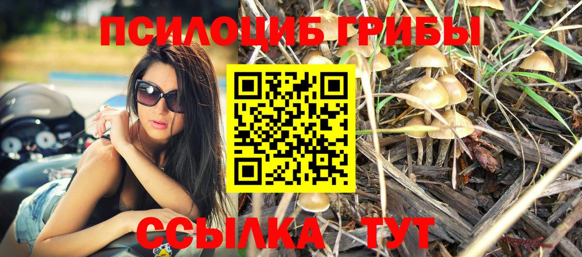 Галлюциногенные грибы мухоморы Вятские Поляны