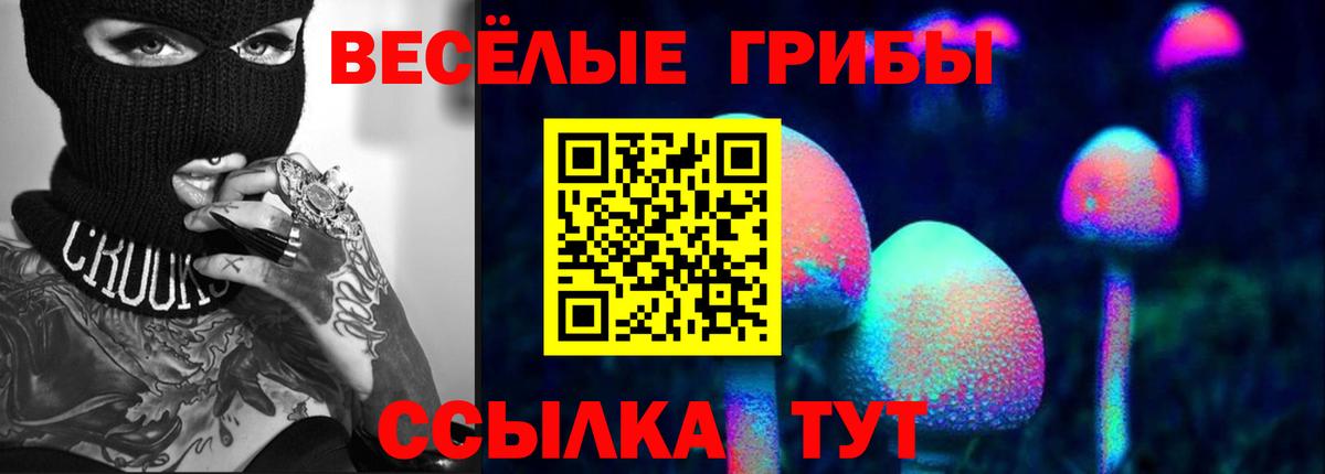 Галлюциногенные грибы прущие грибы Вятские Поляны